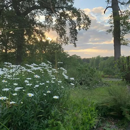 Perlefien Holiday home
